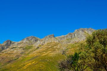 Fototapeta na wymiar stone,tree,natural,water,grass,valley,park,sunny,outdoors,season,scenic,tourism,view,hill,rock,forest,travel,beautiful,green,summer,blue,sky,mountain,nature,landscape