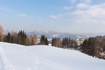 Winter mountain trees on winter mountain background landscape. Ski tracks