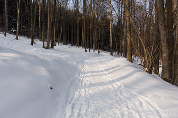 Photo of snowy landscape with blue sky and road in winter