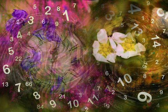 Flower numerology
