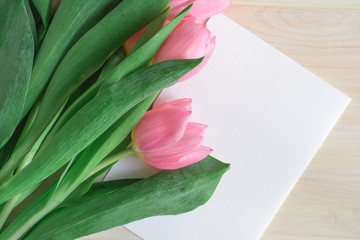 Pink tulips with white card on wooden background