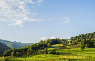 Bright rolling countryside