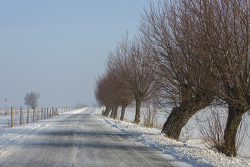 Winter images from Malmö Skåne Sweden