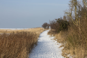 Winter images from Malmö Skåne Sweden
