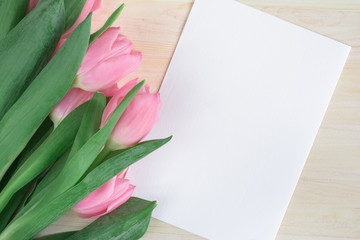 Soft flat lay with pink tulips and white card. Top view. Mock up