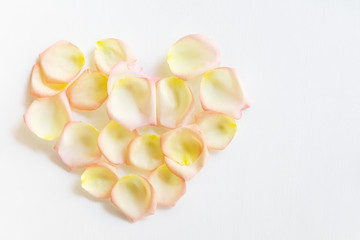 Top view flat lay Yellow and pink tea rose petals in heart shape on white background. Love, romance, valentines day concept. Text space