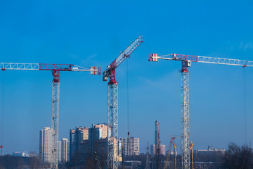 Fototapeta premium Three red industrial construction tower cranes build a house against the blue sky