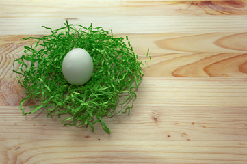 Fototapeta na wymiar white egg in green nest