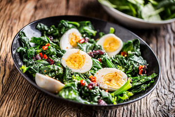 Spinach Salad. Fresh spinach salad with eggs chili pepper and sweet cranberries.