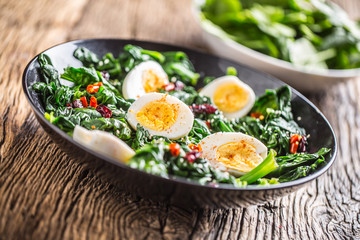 Spinach Salad. Fresh spinach salad with eggs chili pepper and sweet cranberries.