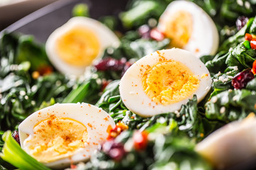 Spinach Salad. Fresh spinach salad with eggs chili pepper and sweet cranberries.