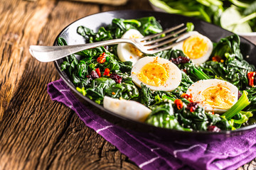 Spinach Salad. Fresh spinach salad with eggs chili pepper and sweet cranberries.