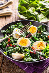 Spinach Salad. Fresh spinach salad with eggs chili pepper and sweet cranberries.