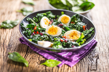 Spinach Salad. Fresh spinach salad with eggs chili pepper and sweet cranberries. © weyo