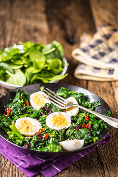 Spinach Salad. Fresh spinach salad with eggs chili pepper and sweet cranberries.