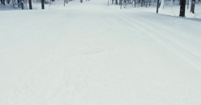 DOLLY IN wide angle view of a skiing track in a winter forest. 4K UHD