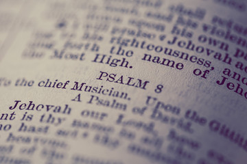Fototapeta premium Psalms scripture in the holy bible