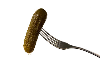 Salted cucumber with a drop of brine on the fork.