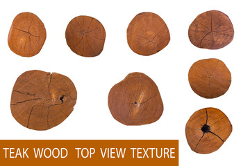 Teak Wood or Wooden log top view isolated on white