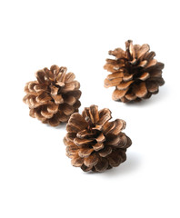 Three pine cones isolated on white