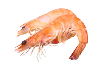 Cooked Shrimp