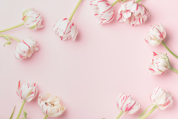 Spring morning concept. Flat-lay of flowers over light pink background, top view with space for your text