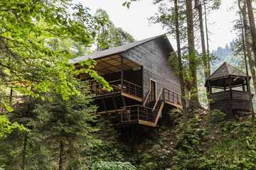 forest house