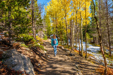 Tourist hiking in aspen grove at autumn