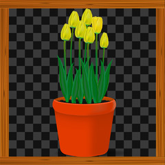 Vector, realistic image of yellow flowers tulips in a pot on a transparent background in a wooden frame