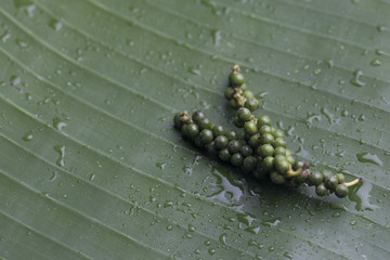 Fresh pepper on banana leaf