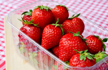 Fresh Strawberries in Plastic packaging with Red And White Checkered Clothing