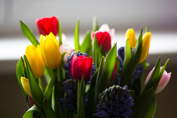 Colorful tulips detail