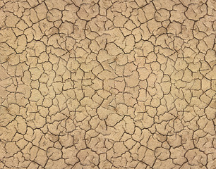 Dry soil cracked texture