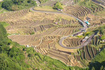 展望台から望む棚田