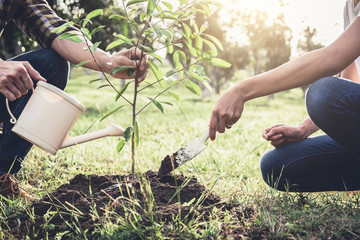 Young couple planting the tree while Watering a tree working in the garden as save world concept,...