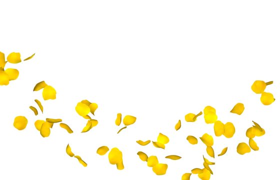 Yellow rose petals fly in a circle. The center free space for Your photos or text. Isolated white background