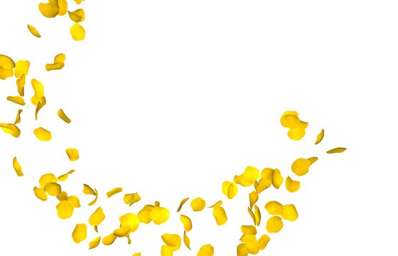 Yellow rose petals fly in a circle. The center free space for Your photos or text. Isolated white background