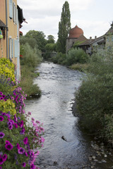 Fototapete bei efototapeten.de bestellen   