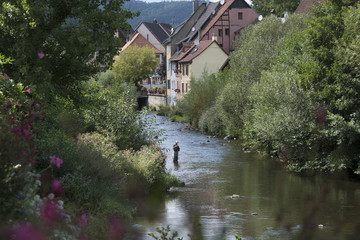 Fototapete bei efototapeten.de bestellen   