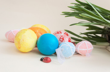 Easter eggs,  ladybug, leaves of narcissus on a light paper background.