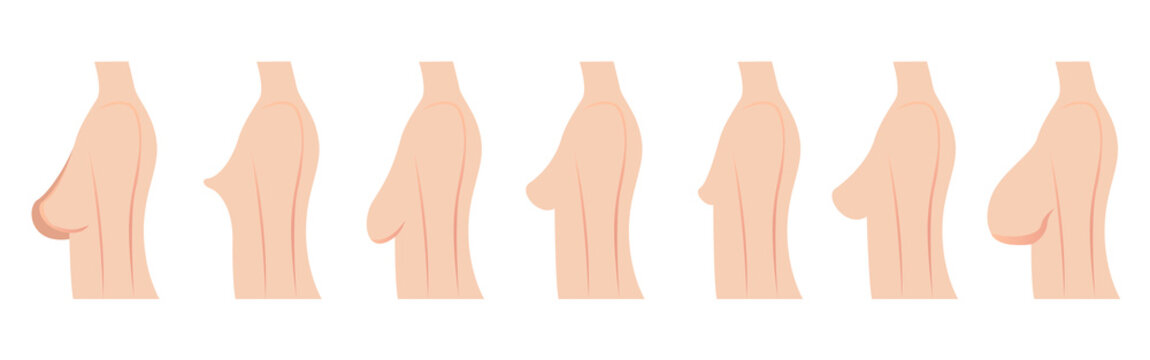 breast size and type vector