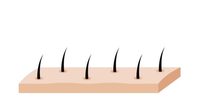 hair grow graphic animation