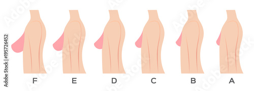 Breast size image images 954