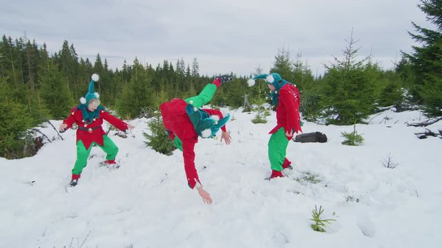 Happy elves playing in the snow