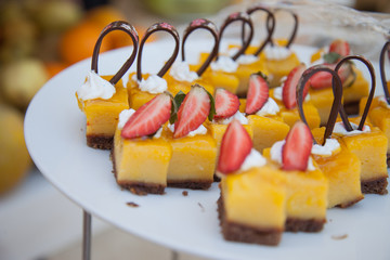 Delicious sweets. Dessert plate. Bakery and restaurant deserts. Sweet food, buffet. Unhealthy food. Pieces of cake. Delicious