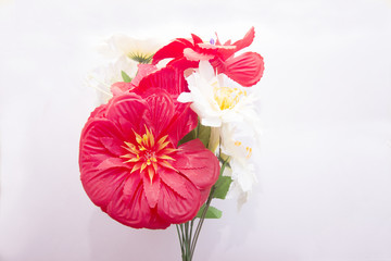 Beauty Red Hibiscus Photo Background