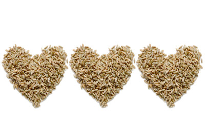 grain. heart. germinating rye