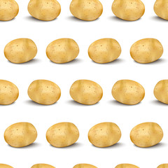 Young potato isolated on white background. Harvest new. Flat lay, top view