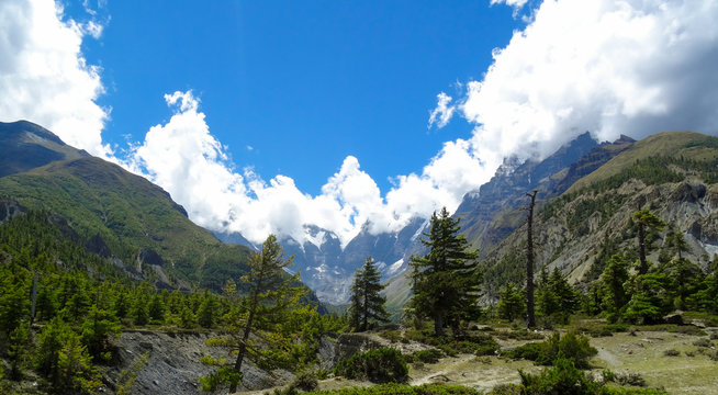 An alpine valley with clouds sitting on top on snow capped mountains