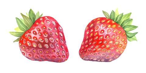 Fresh red strawberry in watercolor